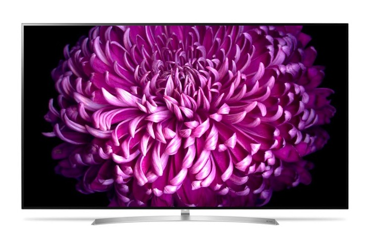 Roze bloem weergegeven op een televisiescherm.