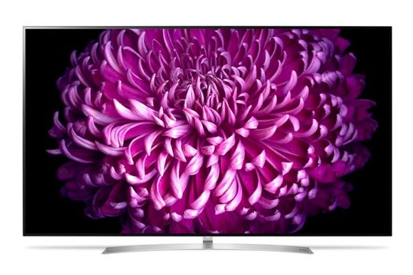 Een close-up van een paarse bloem op een televisie met een dunne rand.